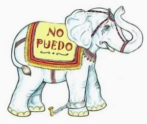 el poder de las etiquetas, creencias limitantes